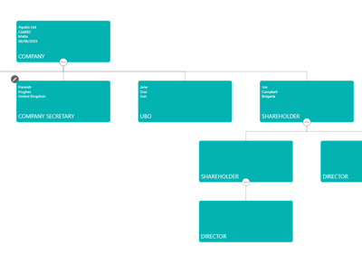 KYC Portal Client Lifecycle Management and Risk Automation